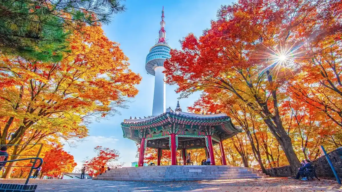 KHÁM PHÁ HÀN QUỐC: SEOUL – NAMI – TRƯỢT TUYẾT/ CÔNG VIÊN ANH ĐÀO – LOTTE WORLD (5 NGÀY 4 ĐÊM)