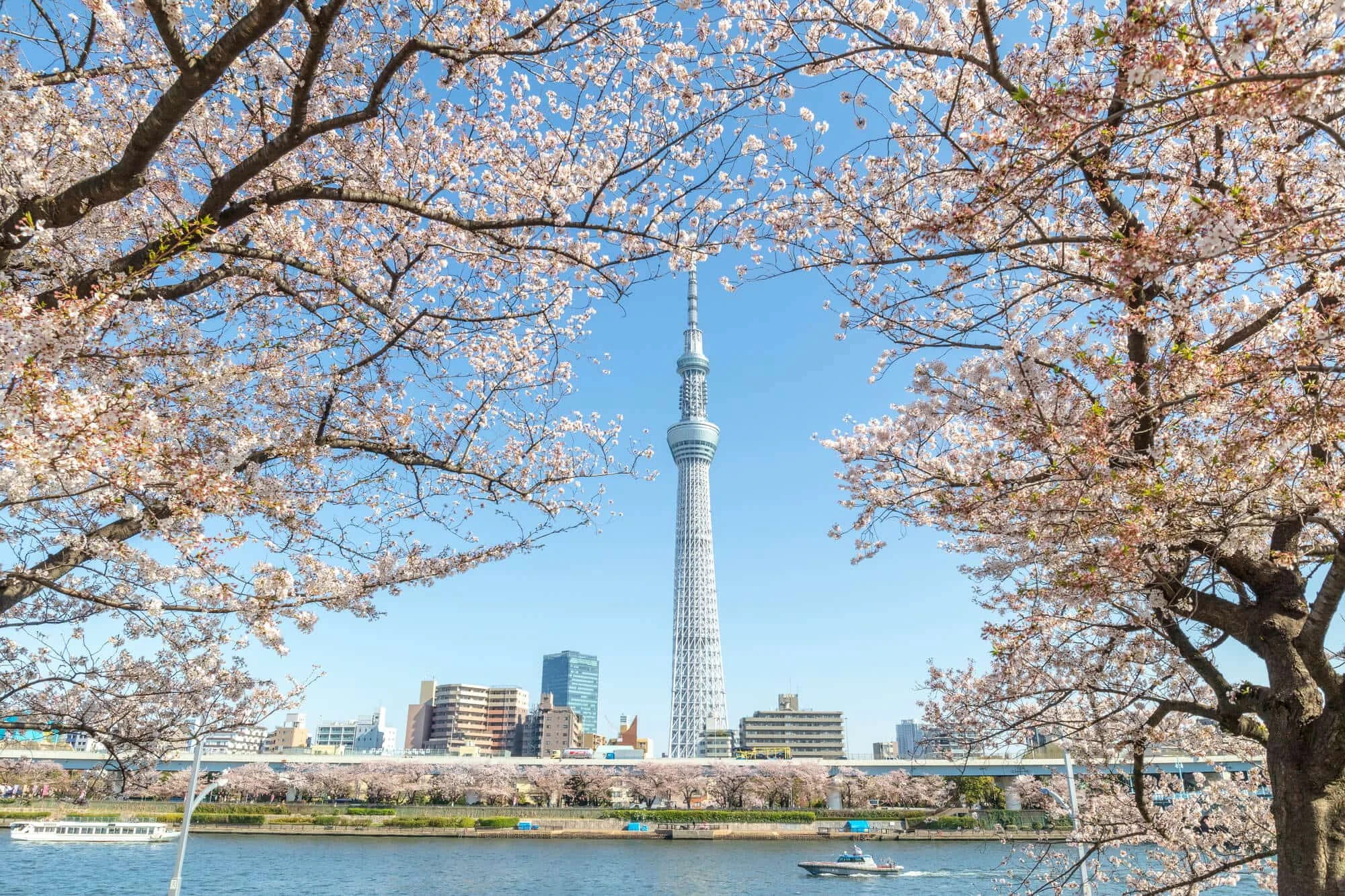 https://tngtravel.com.vn/wp-content/uploads/2025/02/1-8.webp
