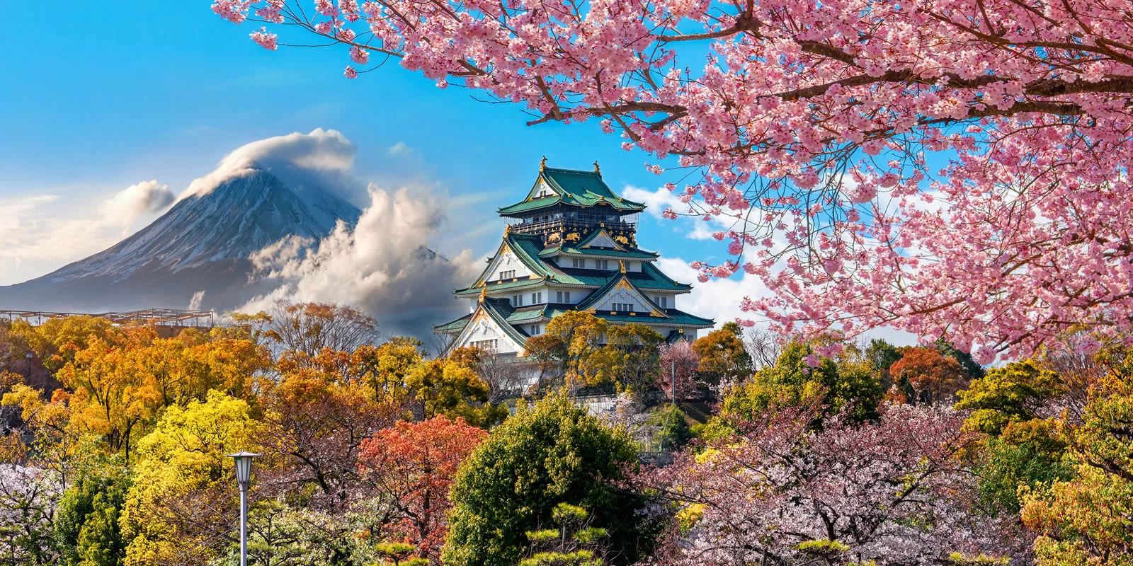 KHÁM PHÁ NHẬT BẢN MÙA HOA ANH ĐÀO 2025 (6N5D): TOKYO – NÚI PHÚ SĨ – NAGOYA – KYOTO – OSAKA