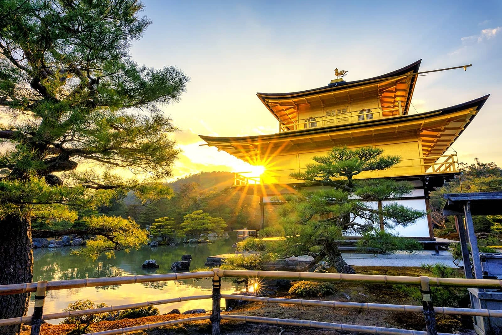 https://tngtravel.com.vn/wp-content/uploads/2025/02/chua-vang6.webp