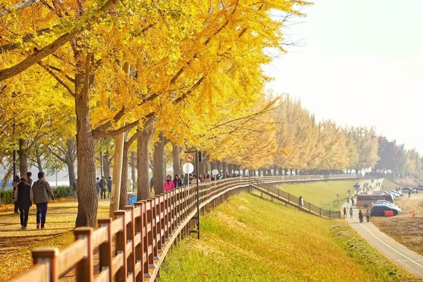 https://tngtravel.com.vn/wp-content/uploads/2025/02/du-lich-han-quoc-mua-nao-dep-3-1690876855.webp