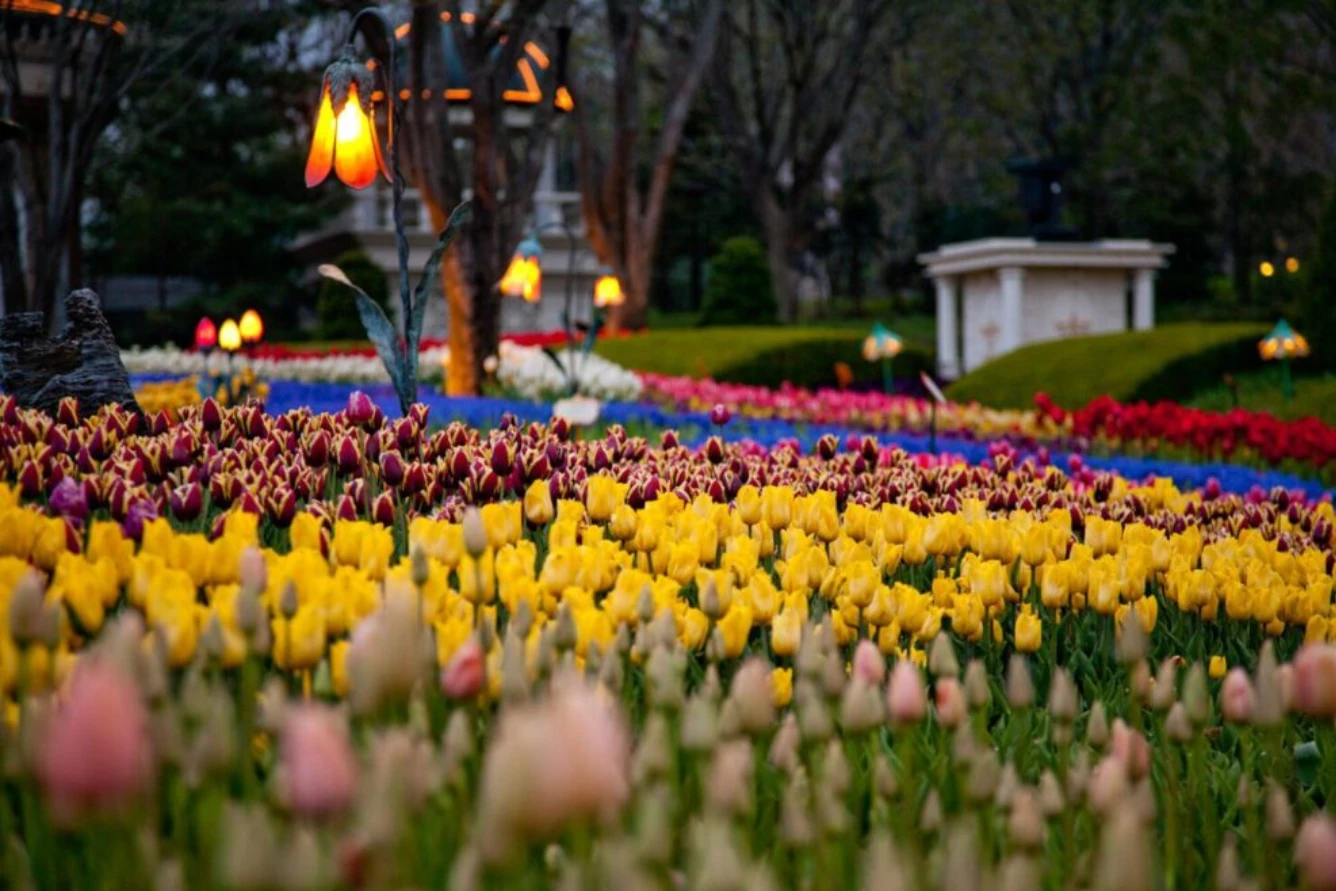 https://tngtravel.com.vn/wp-content/uploads/2025/03/Le-hoi-hoa-Tulip-tai-Tho-Nhi-Kyd-vao-mua-xuan.webp